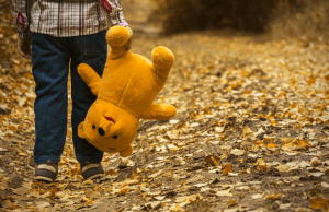 Een klein jongetje dat met zijn gele beer in het bos loopt waar de bladeren van de bomen vallen. Het is herfst